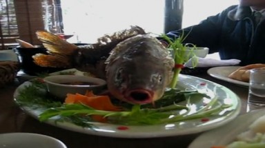  "Sốc" với món cá chép còn ngáp trên bàn ăn ở Hà Nội