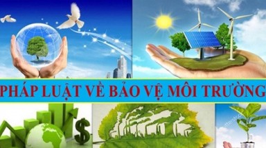 Chương trình trực tuyến về nghiệp vụ bảo vệ môi trường doanh nghiệp