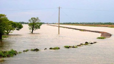   Quảng Ngãi: Phòng, chống sạt lở bờ biển trước mùa mưa lũ 2012 