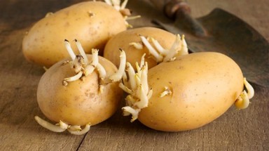   Những thực phẩm cần tránh xa, "chết" cũng không được ăn