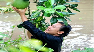 Chuyển đổi cơ cấu sản xuất thích ứng với thời tiết 