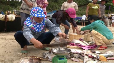 Kết luận ban đầu về nguyên nhân cá chết hàng loạt tại các sông ở huyện Đầm Dơi, Cà Mau