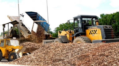  Xử phạt, yêu cầu Công ty Trách nhiệm hữu hạn Phương Hoa khẩn trương khắc phục ô nhiễm môi trường 