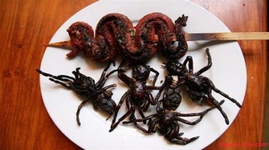 Những món ăn "rùng rợn" nhất hành tinh