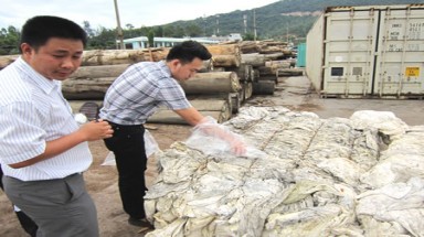 Đà Nẵng: Phạt Công ty TNHH Phong Bắc nhập phế liệu gây ô nhiễm