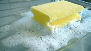8 yếu tố gây bệnh trong môi trường sống