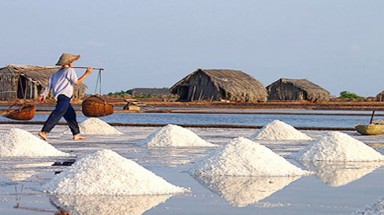 Việt Nam là một trong 19 nước có tình trạng thiếu i-ốt nghiêm trọng