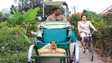  Rong ruổi khắp đất nước bằng… xe xích lô