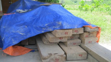  Rừng Tương Dương bị băm nát