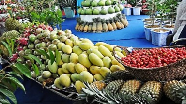   Hội thảo chuyên đề: “Đánh giá chất lượng trái cây ” tại ĐHNL TP.HCM