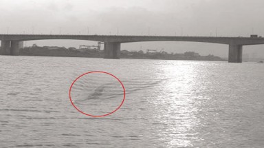  "Quái vật" 40 mét ở sông Hồng chỉ là trò bịp