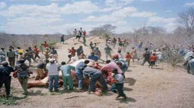    Dân Zimbabwe tranh nhau xẻ thịt voi chết