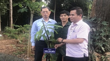  Dự thảo nghị định hướng dẫn thi hành Luật Bảo vệ môi trường 2020 nên làm rõ Điều 159 về cộng đồng dân cư