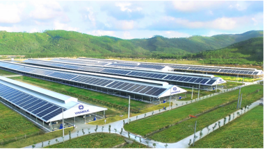  Quản trị doanh nghiệp tại Vinamilk - Bước đà cho sự phát triển bền vững