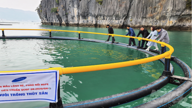  Nhựa Super Trường Phát: Đưa công nghệ HDPE vào nuôi biển hướng đến “xanh hóa” môi trường biển