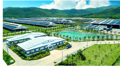  Vinamilk có 5 nhãn hiệu lọt Top 10 thương hiệu sữa và sản phẩm sữa được chọn mua nhiều nhất