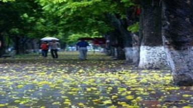  Thủ đô Hà Nội mưa tăng