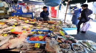  Cá gần nhà máy Fukushima 1 nhiễm xạ cao kỷ lục