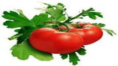  4 điều cấm kị khi ăn cà chua