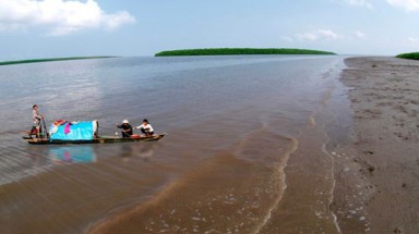 Cà Mau đẩy mạnh phát triển kinh tế biển