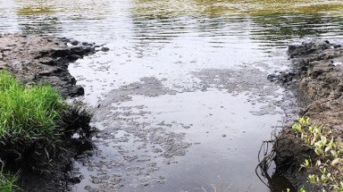  Cà Mau: Xả thải ra môi trường, 4 đơn vị chế biến thủy sản bị phạt 843 triệu