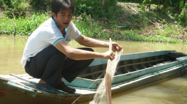  Xuất hiện cá lạ "ăn thịt người" ở Đồng Tháp