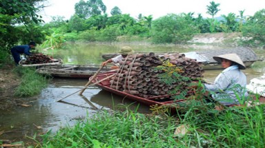  Vân Quế đổi đời nhờ... cáy