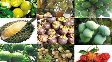  Hội thảo “Hành trình quảng bá đặc sản Việt Nam ra thế giới”