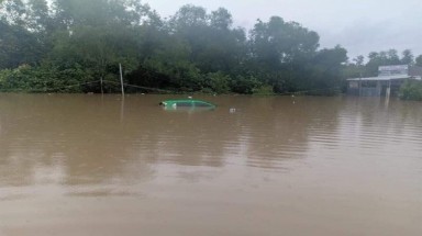  Kiếm tiền từ đảo ngọc, khó cưỡng lại rồi!