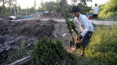   Đất khu công nghiệp bỏ hoang: Tiếc đứt ruột!