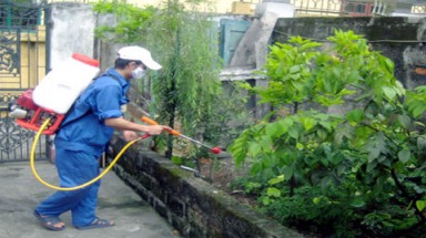  Dầu hỏa có diệt được ấu trùng muỗi?