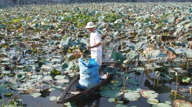  Vụ 100% mẫu máu nhiễm dioxin: Cần phải bình tĩnh!