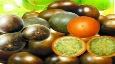  Quả la hán tăng cường miễn dịch tế bào?