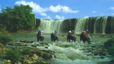  Muốn giữ văn hóa Tây nguyên phải giữ rừng Tây nguyên