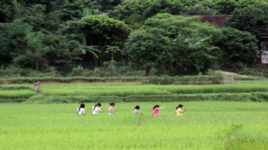    Thương nhớ đồng quê!