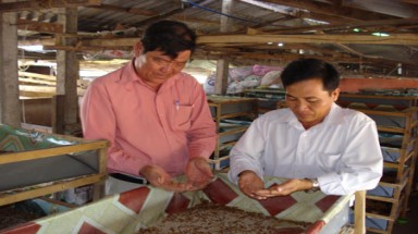 Hốt bạc từ sâu và rắn mối