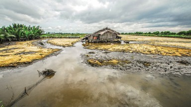 Ban chỉ đạo Trung ương về phòng chống thiên tai làm việc tại Long An