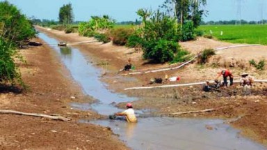  Cà Mau: Sông ô nhiễm, thiếu nước mặn nuôi tôm