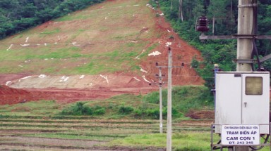  Ngưng trồng cỏ "lạ" trên đường cao tốc