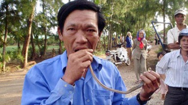 "Dị nhân" ăn tươi nuốt sống rắn độc