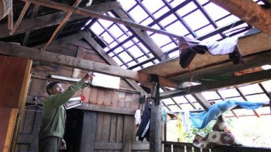  Bạc Liêu: Lốc xoáy khủng khiếp, 130 ngôi nhà bị sập