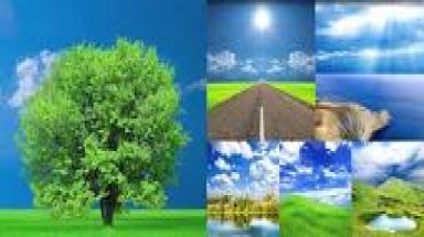   Bình Thuận hướng tới nền “du lịch xanh”  