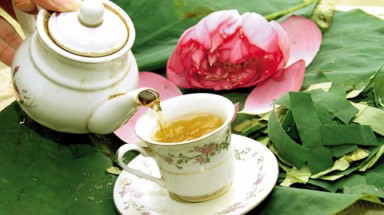  Uống lá sen giảm béo: Dễ ngộ độc, tiêu chảy