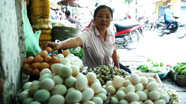  Nửa triệu quả trứng 'đè bẹp' ngành chăn nuôi Việt Nam