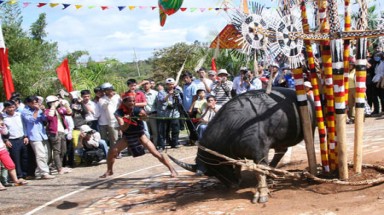  Mang gió đại ngàn về thủ đô