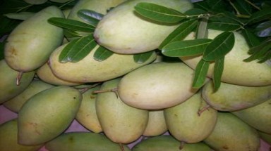  Nhận diện những loại trái cây hay bị ngâm hoá chất