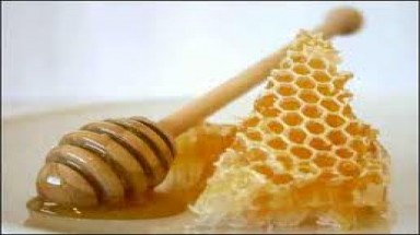  Bảo vệ thương hiệu mật ong rừng U Minh Thượng