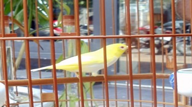  Những vật dụng bạc tỷ của đại gia Hà Thành