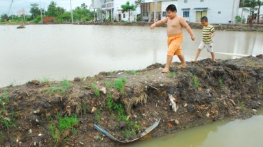 Nhiều ao sâu giữa phố
