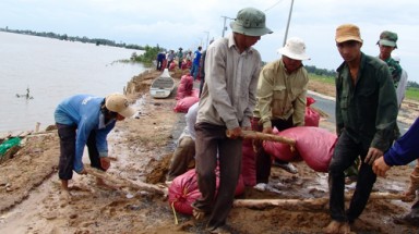 Lũ trên sông Cửu Long sẽ vượt báo động 3